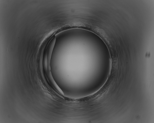 X0000091720395200708241354