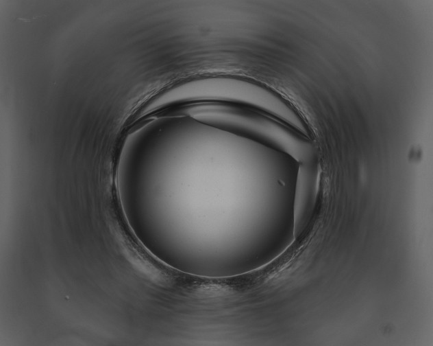 X0000091720397200708241354