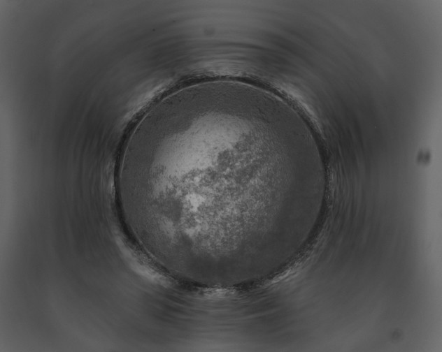 X0000091720398200708241354