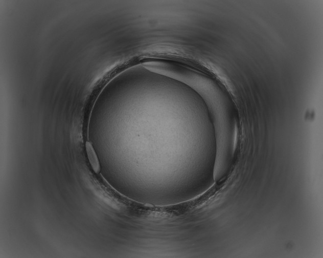 X0000091720399200708241354