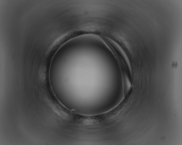 X0000091720400200708241354