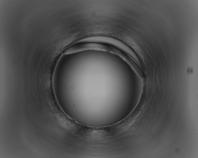 X0000091720401200708241354