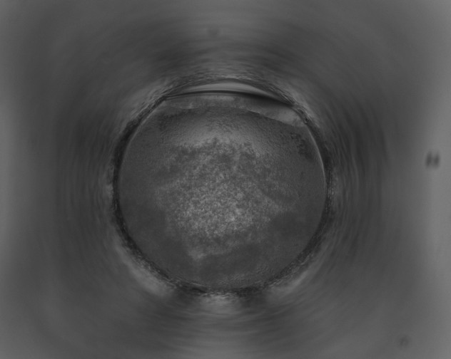 X0000091720402200708241354