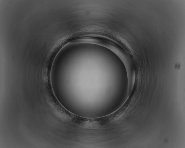 X0000091720403200708241354