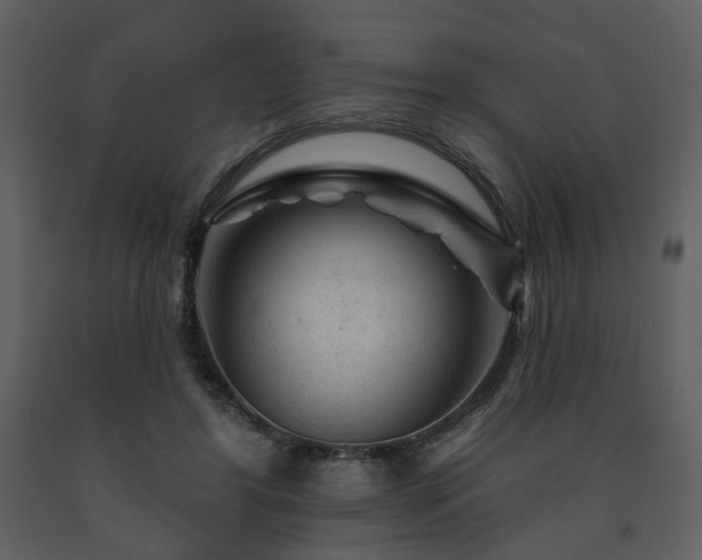 X0000091720404200708241354