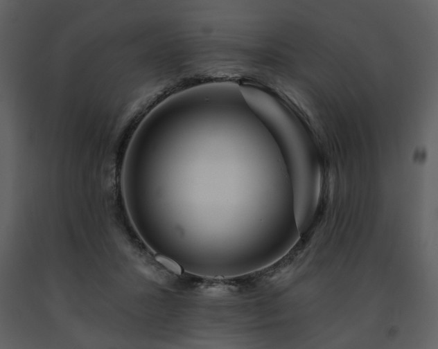 X0000091720407200708241354
