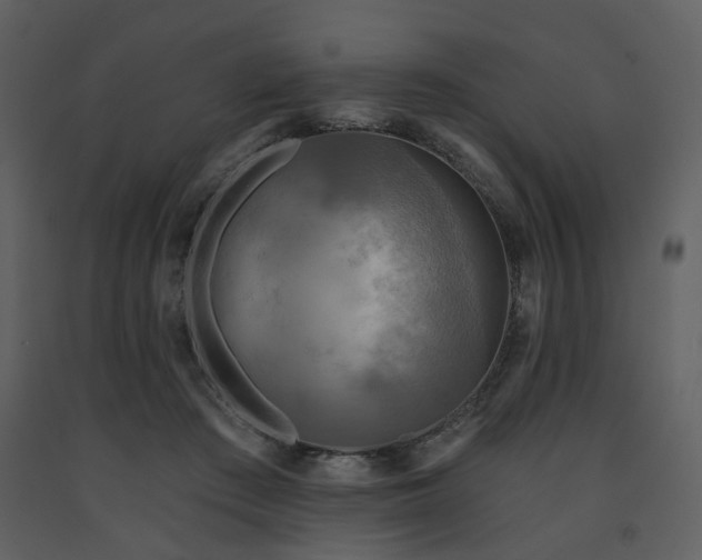 X0000091720409200708241354