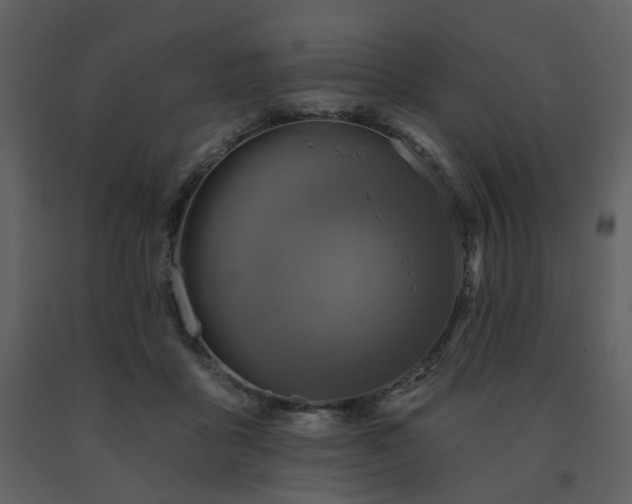 X0000091720411200708241354
