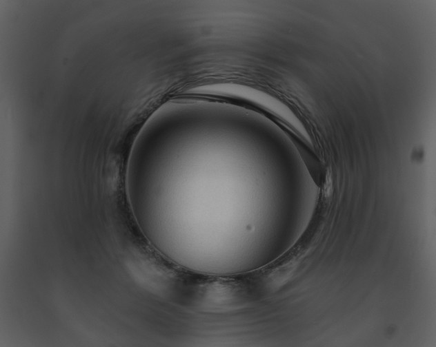 X0000091720412200708241354
