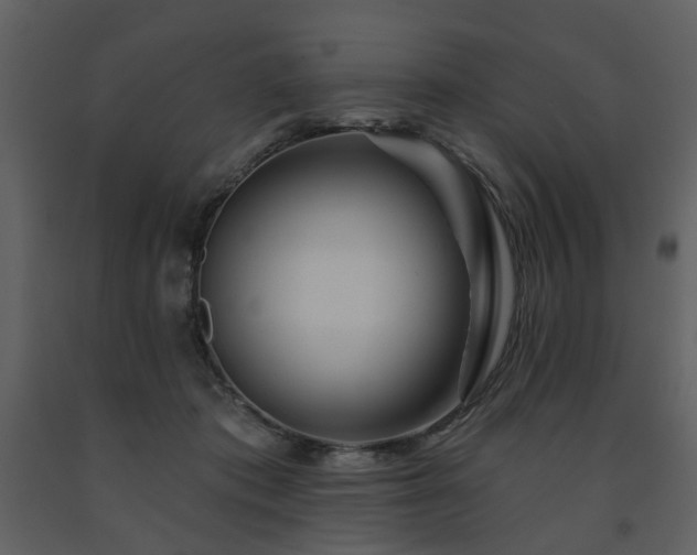 X0000091720413200708241354