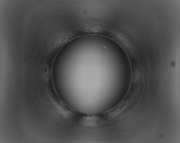 X0000091720414200708241354