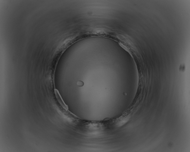 X0000091720415200708241354