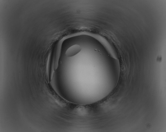 X0000091720416200708241354