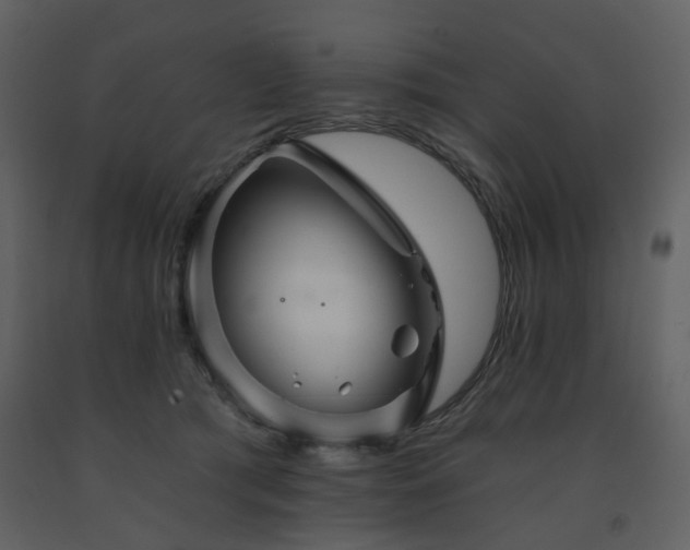 X0000091720417200708241354