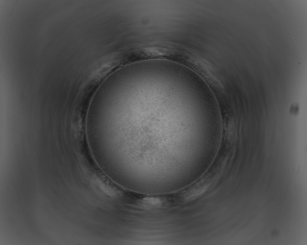 X0000091720418200708241354