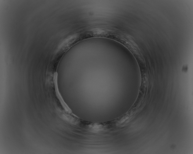 X0000091720419200708241354