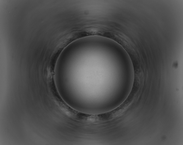 X0000091720420200708241354