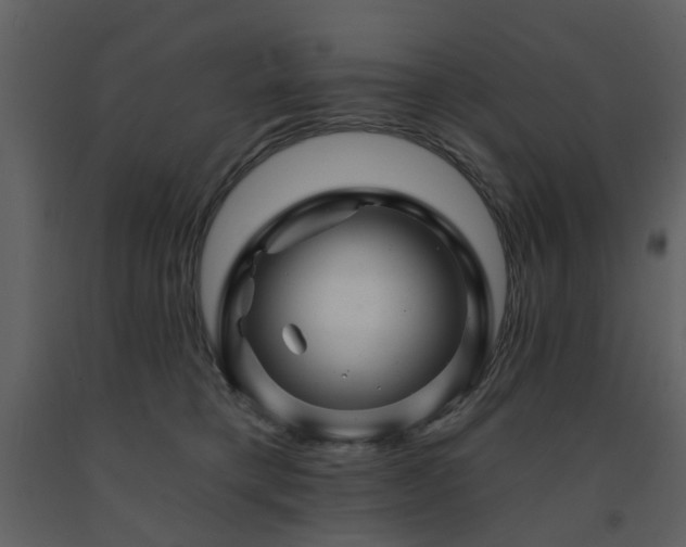 X0000091720421200708241354