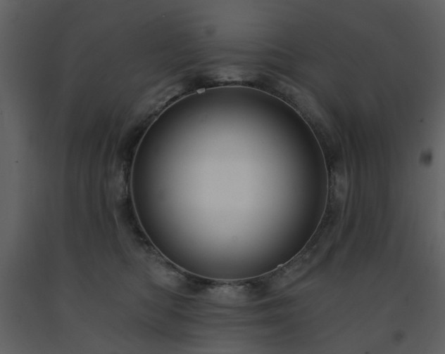 X0000091720422200708241354