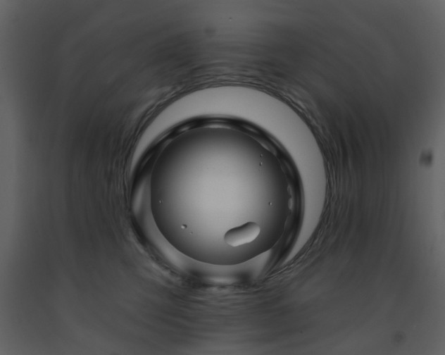 X0000091720423200708241354