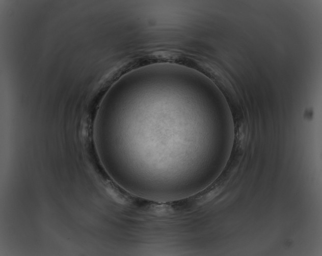 X0000091720424200708241354