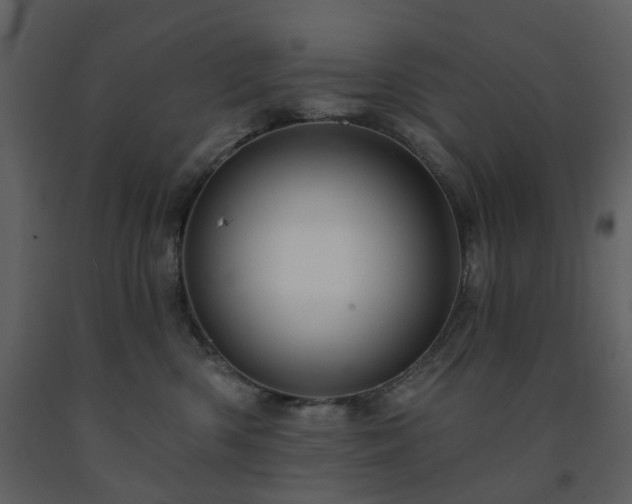 X0000091720426200708241354