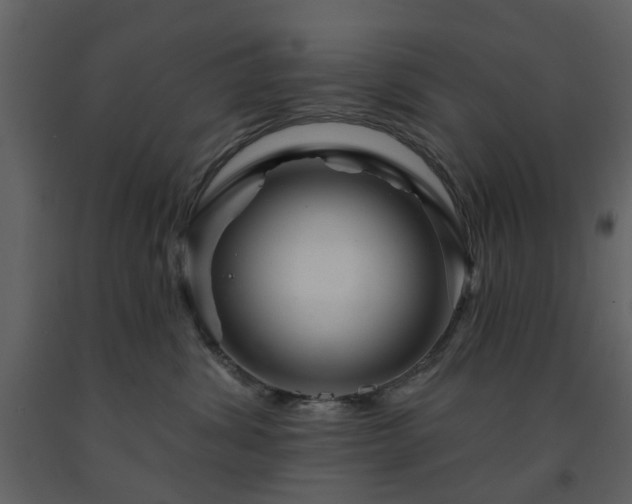 X0000091720428200708241354