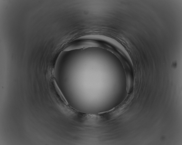 X0000091720429200708241354