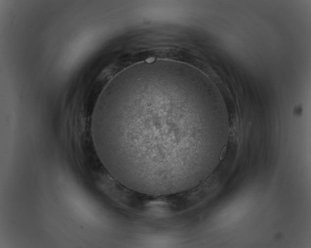 X0000091720430200708241354