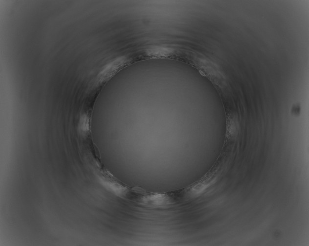 X0000091720431200708241354