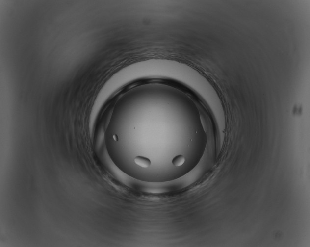 X0000091720432200708241354