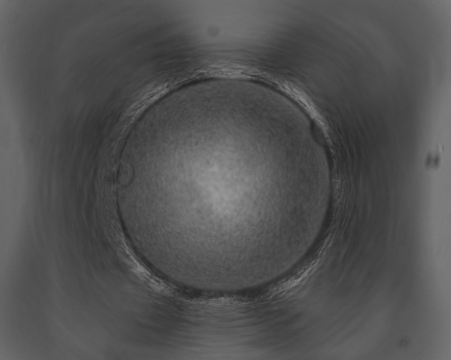 X0000091720433200708241353