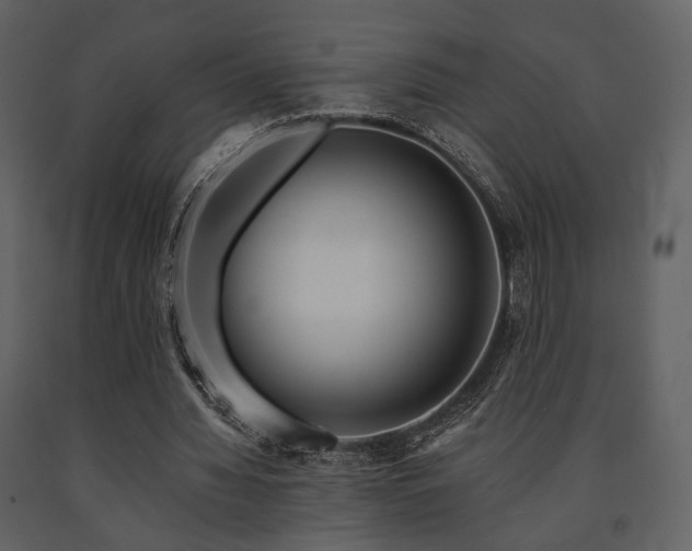 X0000091720436200708241353