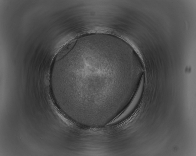 X0000091720437200708241353