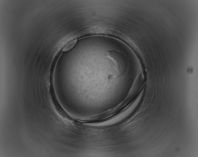 X0000091720438200708241353