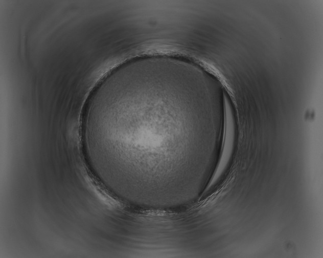 X0000091720439200708241353