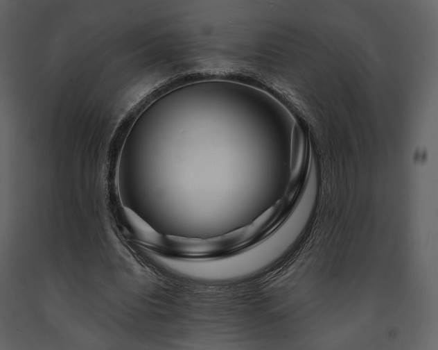 X0000091720440200708241353