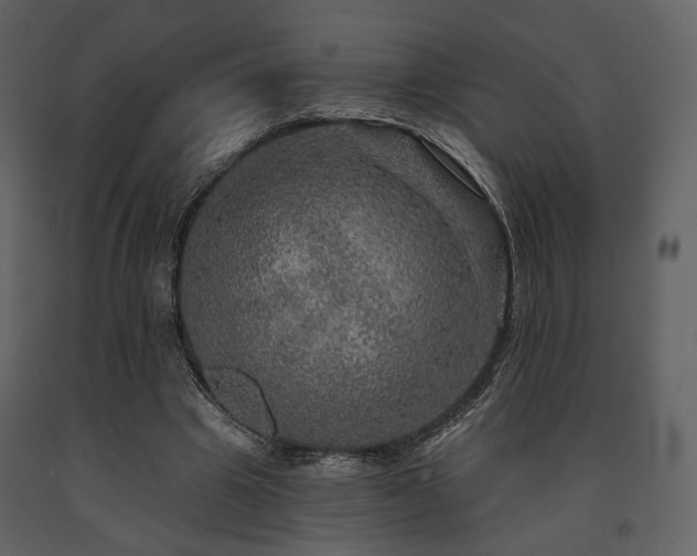 X0000091720441200708241353