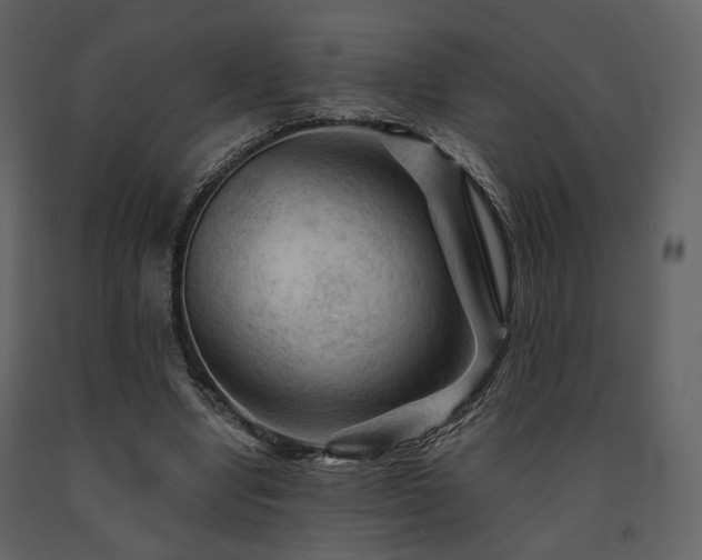 X0000091720442200708241353