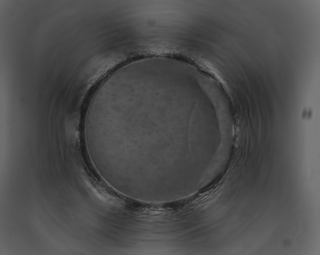 X0000091720443200708241353
