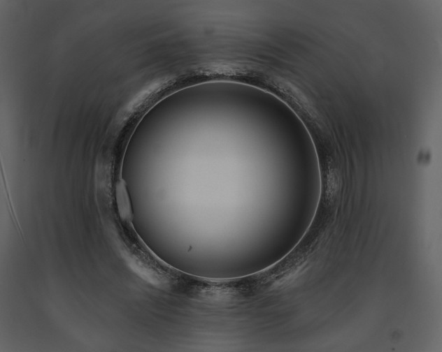 X0000091720444200708241353