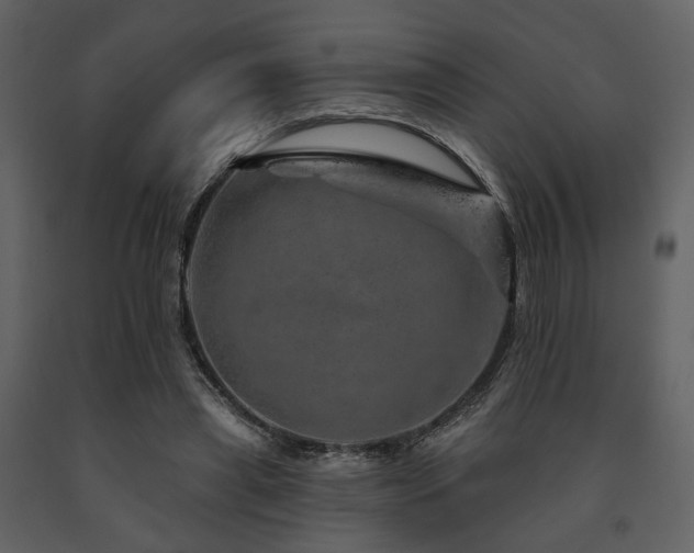 X0000091720445200708241353