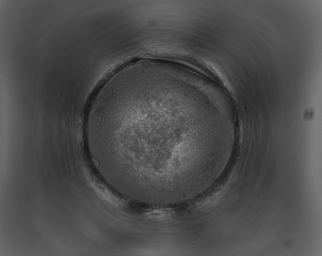 X0000091720447200708241353