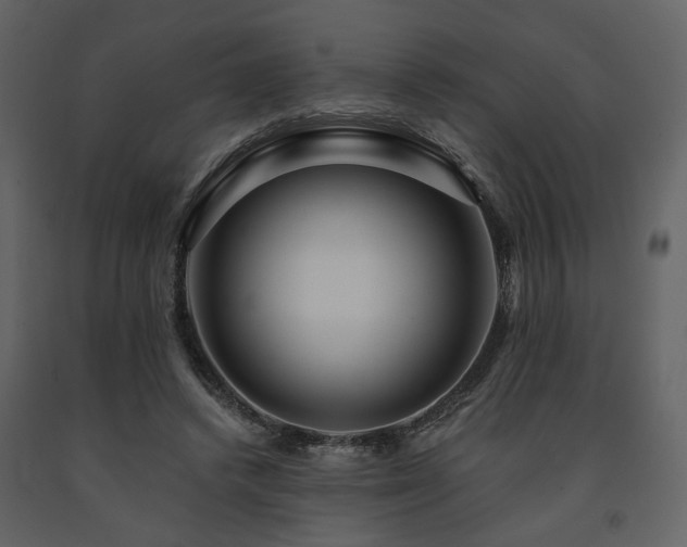 X0000091720448200708241353