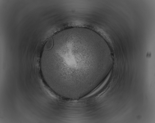 X0000091720449200708241353