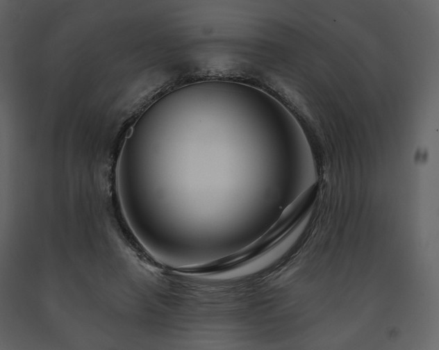 X0000091720450200708241353