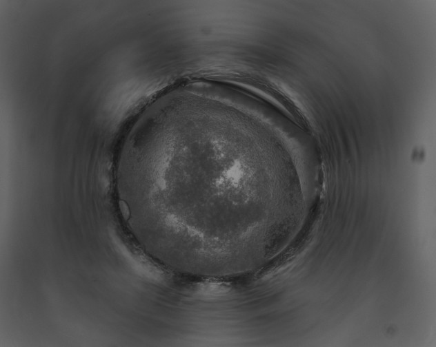 X0000091720451200708241353