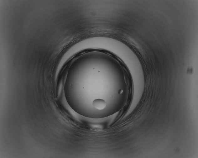 X0000091720452200708241353