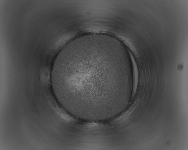X0000091720453200708241353