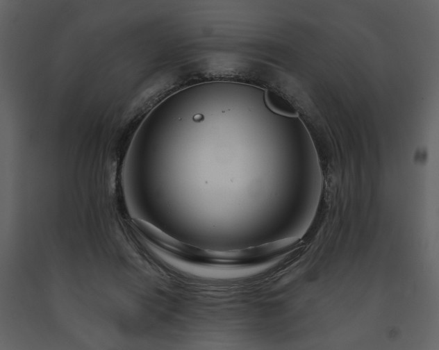 X0000091720454200708241353